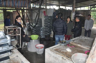 武陵区多部门联合行动 取缔一食品生产黑作坊